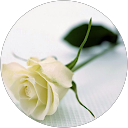Image Google de Ilona Besse