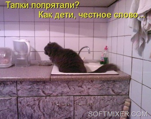 [68607739_1293828173_kotomatrix_46%255B1%255D.jpg]