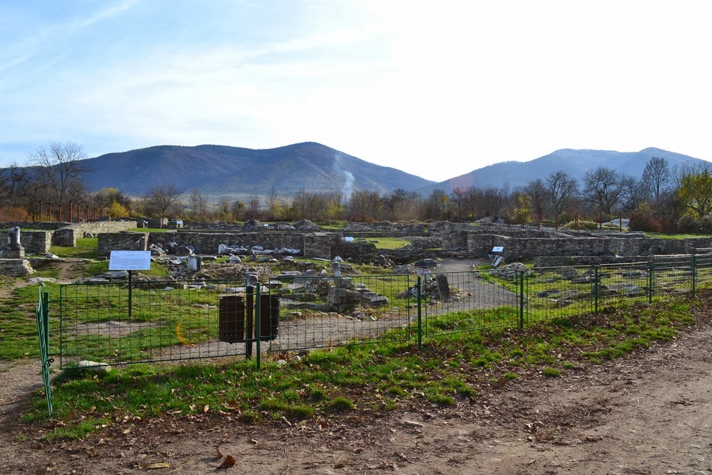 [DSC_05243.jpg]