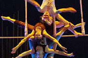 Cirque Du Soleil