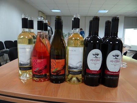  Degustare Bostavan