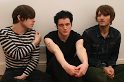 The Virginmarys