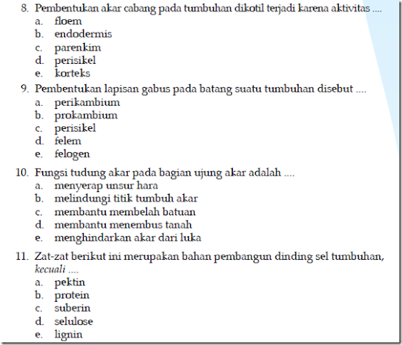 Contoh Soal Hots Jaringan Epitel