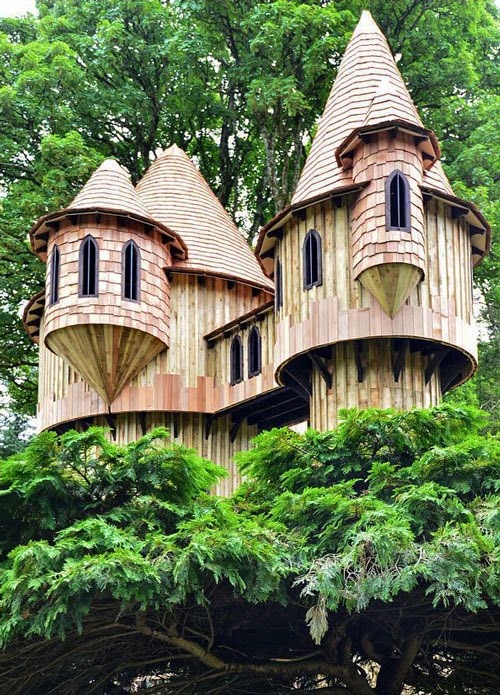 Beautiful Tree house