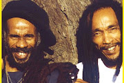 Israel Vibration
