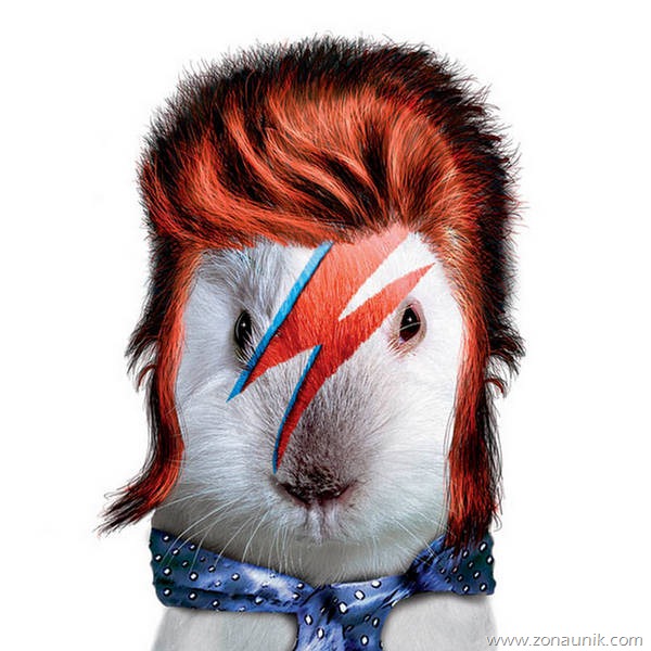 [binatang_rockstar6%255B2%255D.jpg]