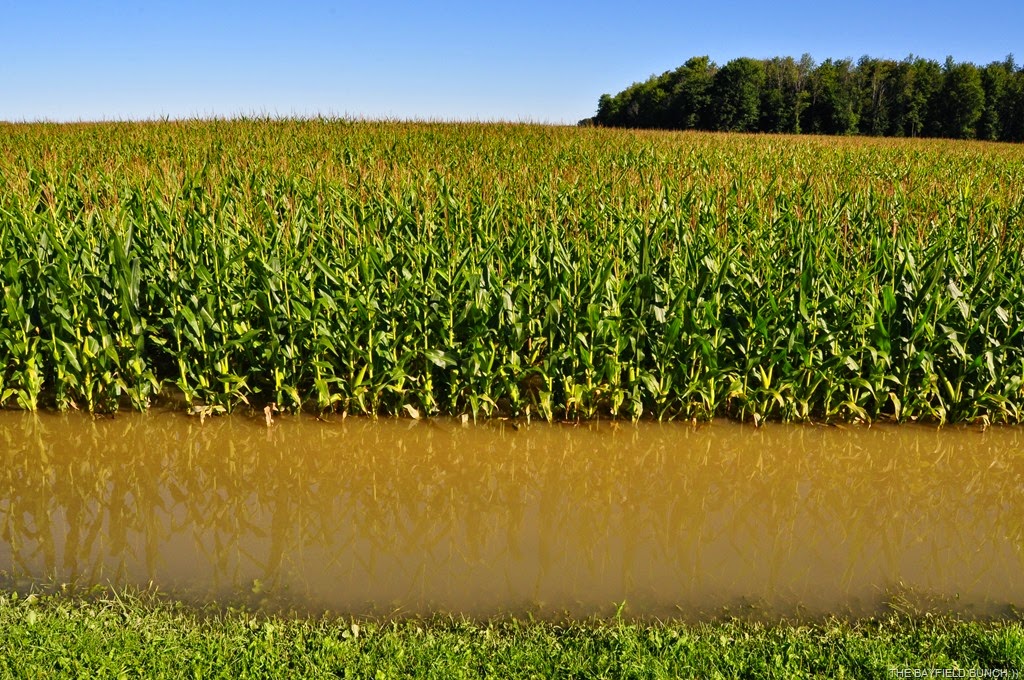 [DSC_0001-004%255B4%255D.jpg]