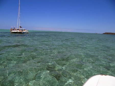 Marea verde din Mauritius