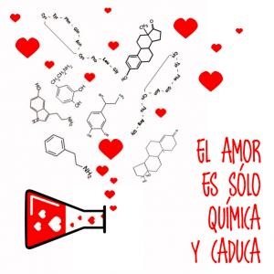 quimica del amor