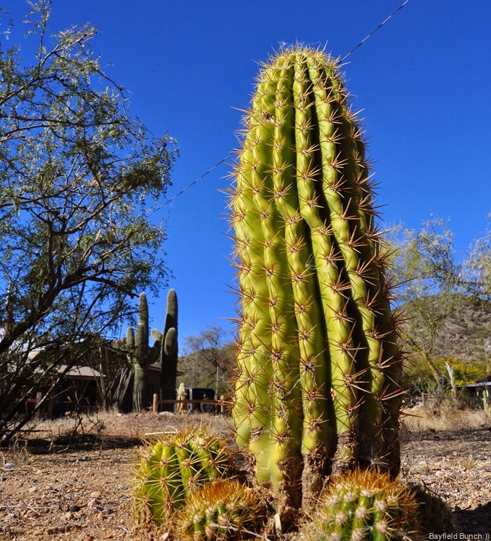 [DSC_0020%255B4%255D.jpg]