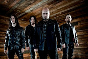 Disturbed