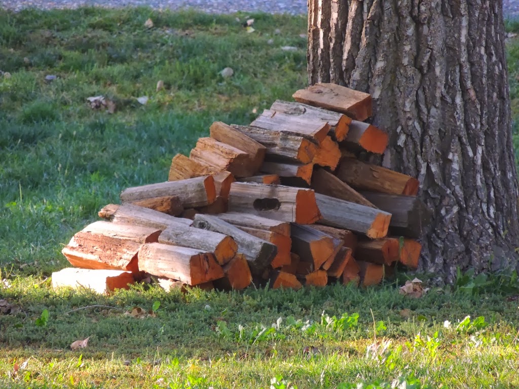 [free-firewood4.jpg]
