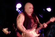 Popa Chubby