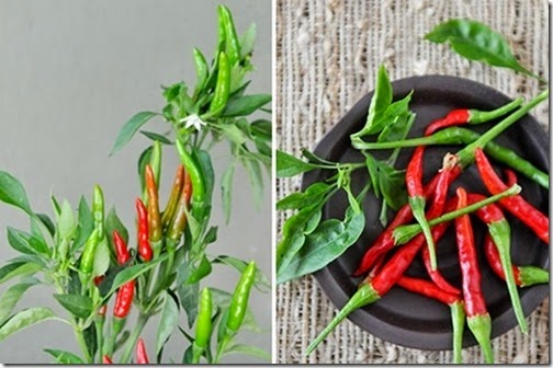 [clip_image0013.jpg]