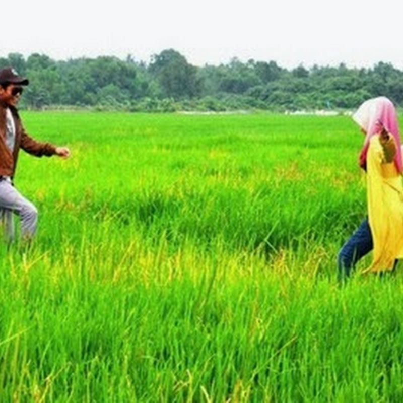 Outdoor Photoshoot di Sawah Bendang