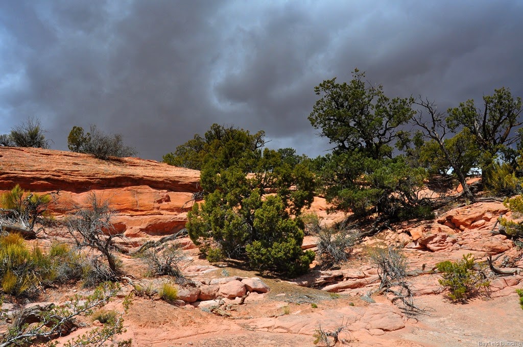[DSC_0102%255B4%255D.jpg]