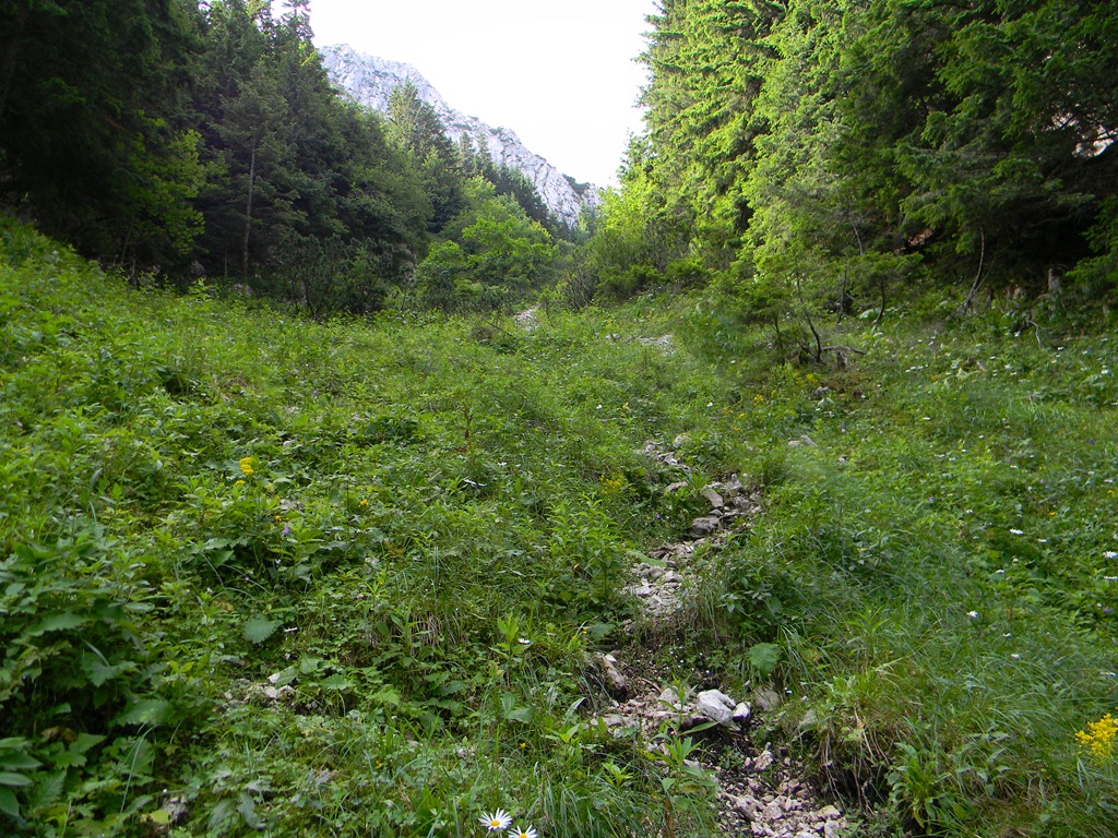 [DSCN90583.jpg]