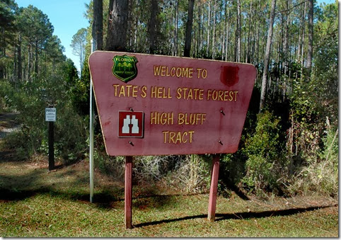 Tates Hell Forest 026