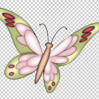 butterfly2c.jpg