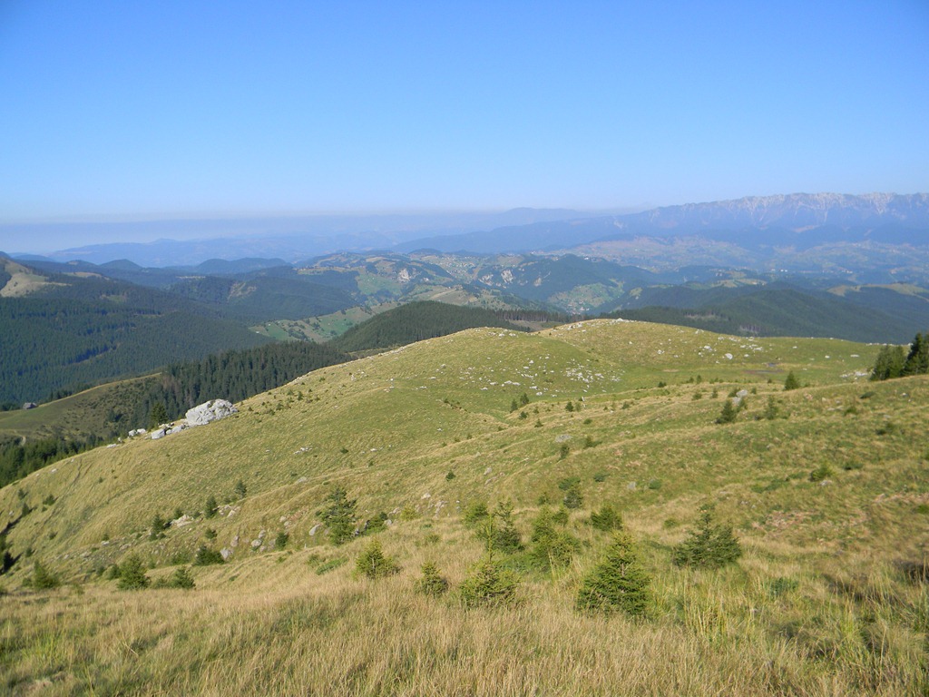 [DSCN11423.jpg]