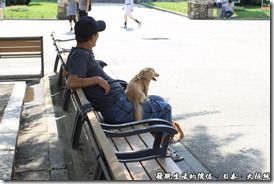 日本大阪城，最後主人同意讓這隻狗狗跳到他的大腿上，看牠一副舒服樣。