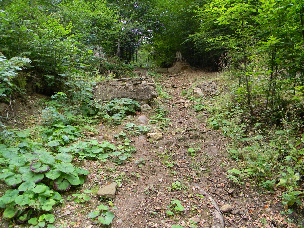 [DSCN41123.jpg]
