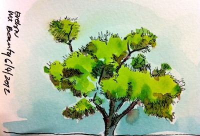 Watercolour tree
