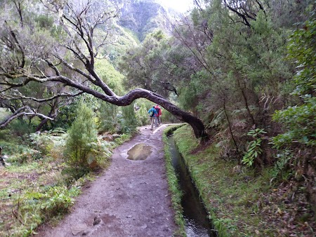 Revelion 2014:  Levadas in Madeira