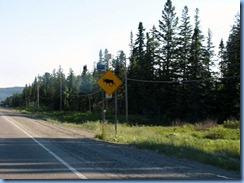 7839 Ontario Trans-Canada Hwy 17 moose crossing warning sign