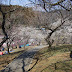 DA★ 16-50mm F2.8ED AL[IF]SDM