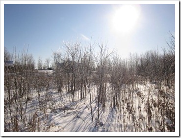 20120114_winter-property_003