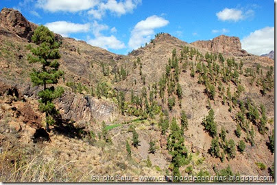 6806 Presa de las Niñas-Soria(Alrededores de Soria) 6806 Presa de las Niñas-Soria(Alrededores de Soria)