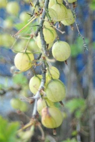 20100702a (1) (Small)