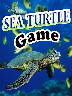 Lastest Sea Turtle Game APK