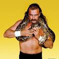 Jake Roberts