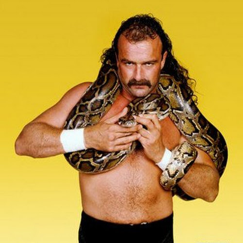 Jake Roberts