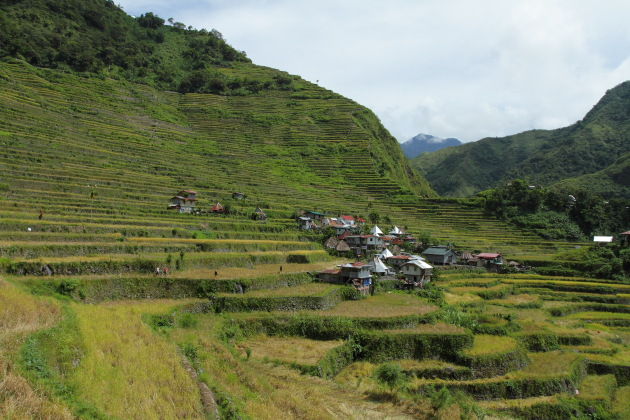 Batad village and the amphitheater rice terraces surrounding it