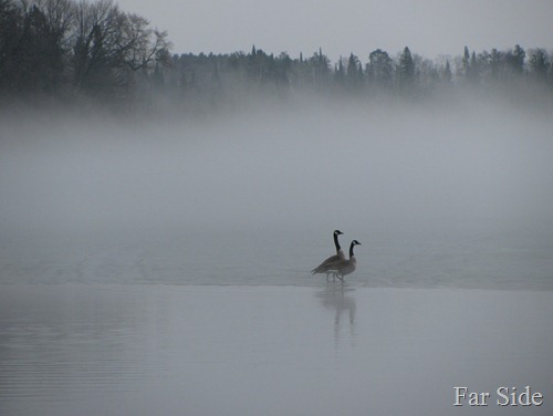 Long Lake Fog March 17 (2)