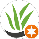 Image Google de Aloe Bienêtre