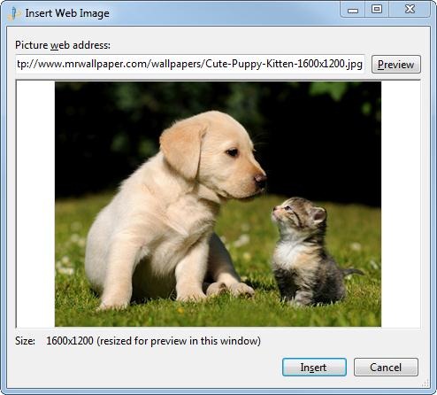 [Windows_Live_Writer_insert_image_web_address%255B3%255D.jpg]