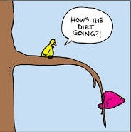 [diet-birds7.jpg]