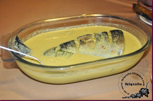 Ikan Patin Buah Samudra Exotic Fish