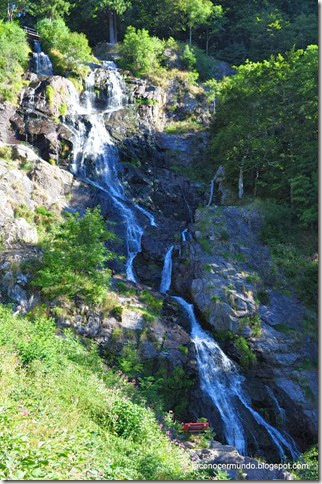 09-Todtnau. Catarata Wasserfall -DSC_0299