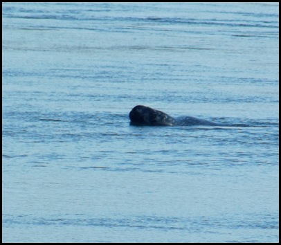 Eastport Maine 158