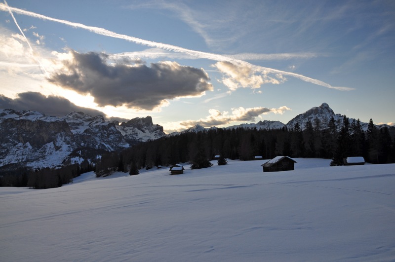 DSC_8217.JPG DSC 8217