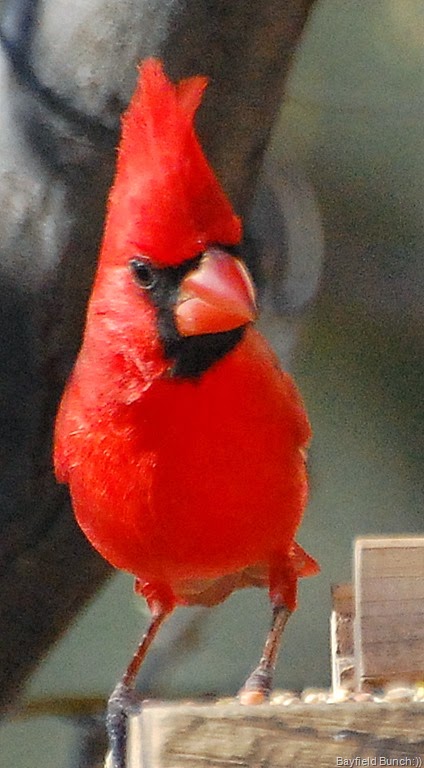 [DSC_2692%255B6%255D.jpg]