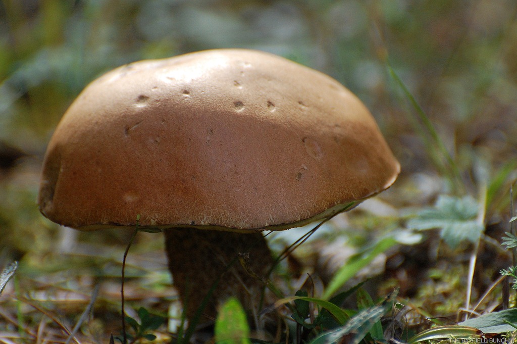 [DSC_7045%255B3%255D.jpg]