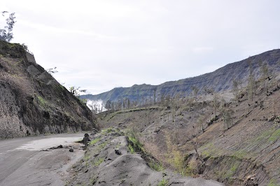 DSC_0674.jpg