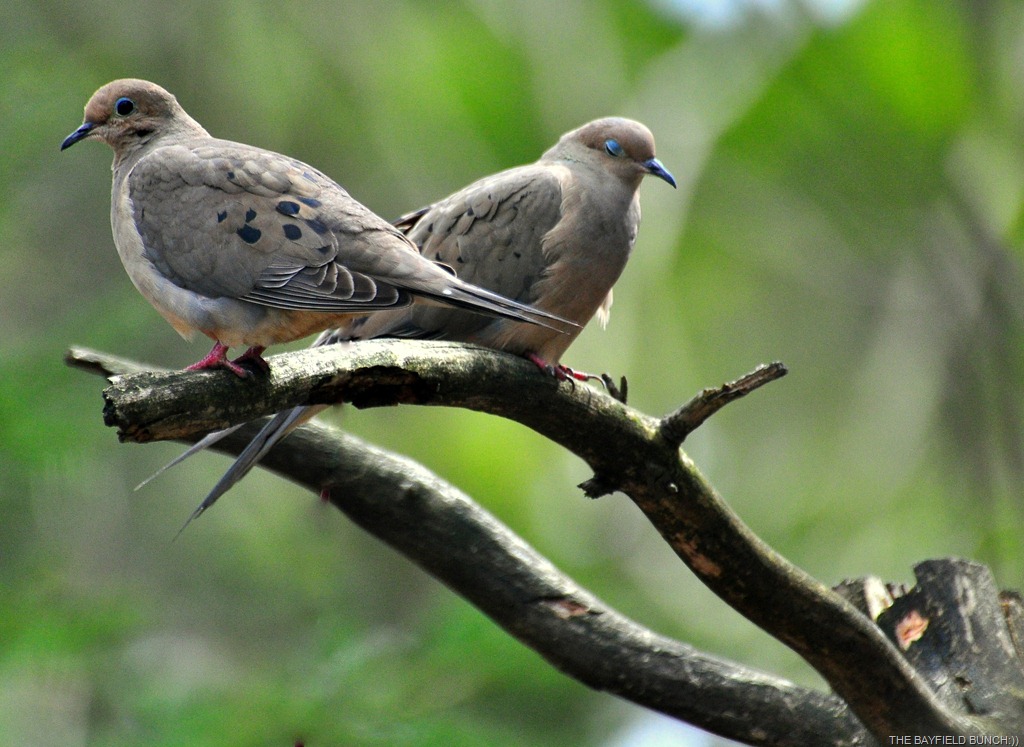 [DSC_0015-1%255B4%255D.jpg]