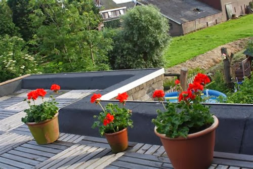 20090615 (3) (Small)